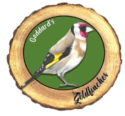 Goldfinch