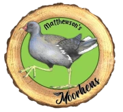 Moorhen