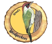 Woodpecker