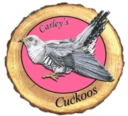 Cuckoos