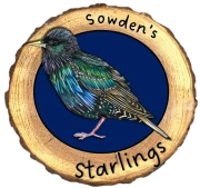 Starling