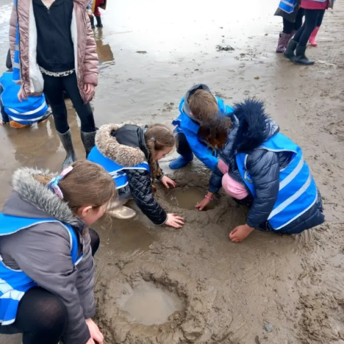 TNHPS residential (5)